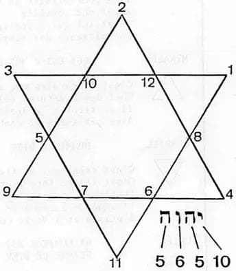 A Unidade da Criação