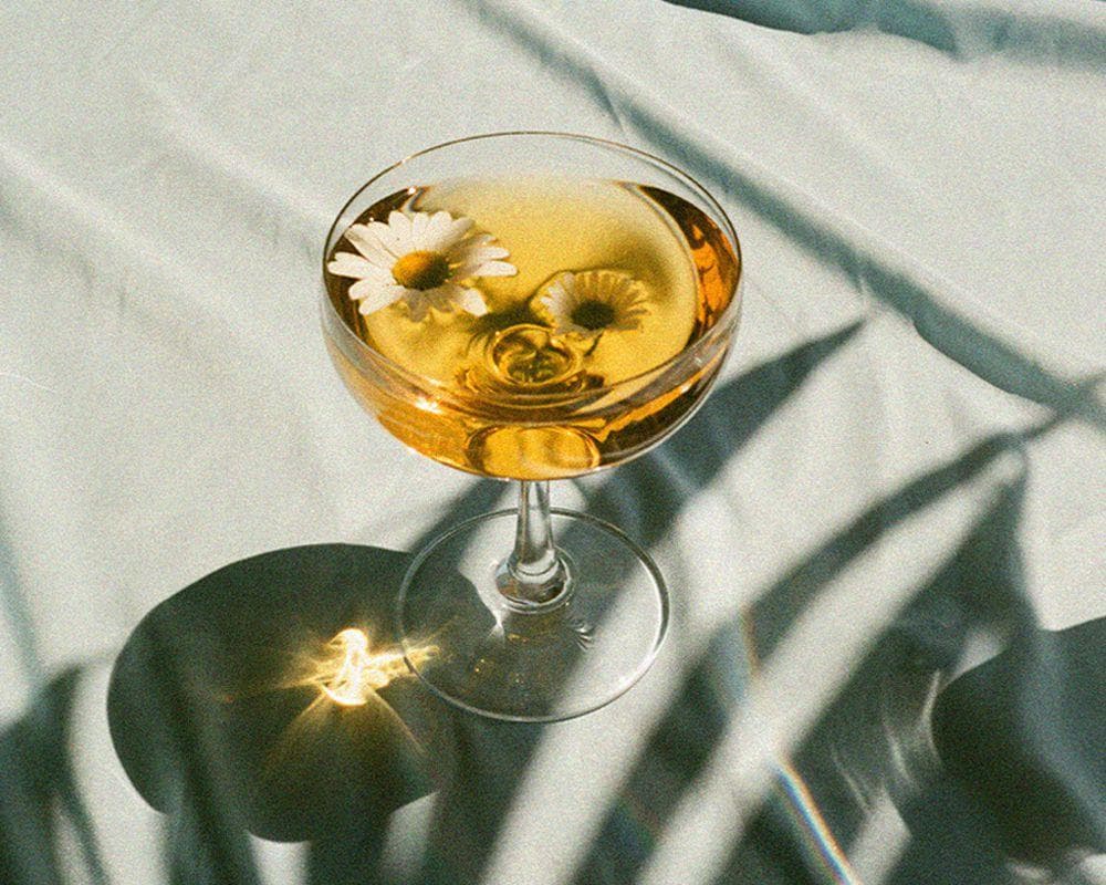 Neuro-Alquimia: Betacarbolinas como Agentes Potenciadores