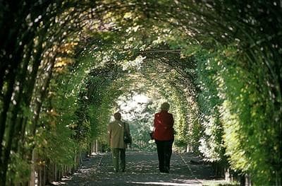 Por um cristianismo sem igrejas