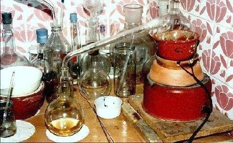 Primeiro Ser Vegetal e Volatização do Sal