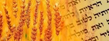 A Contagem do Ômer e o Rabi Akiva