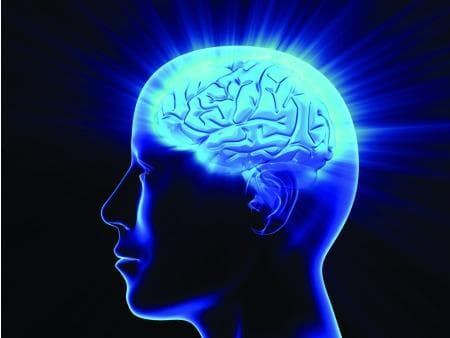 Anatomia judaica: A cabeça e o cérebro