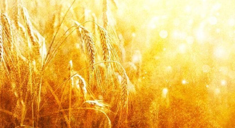 Por que razão se faz a Contagem do Ômer?