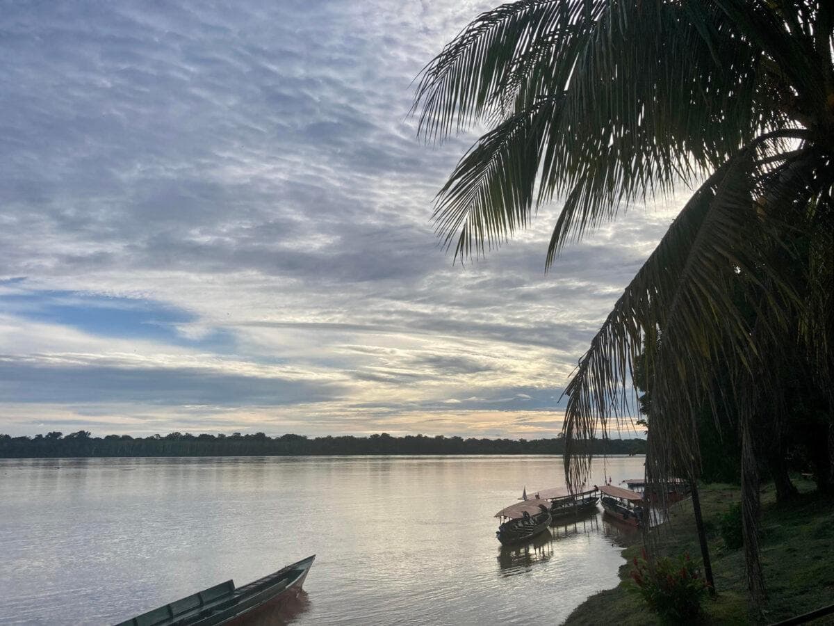 A Sabedoria da Amazônia