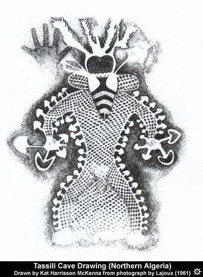 Cogumelos e Humanidade