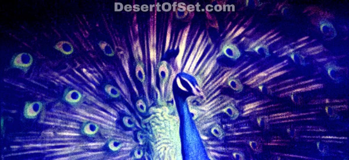 Compreendendo os Yezidis