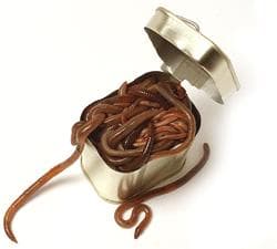 Conjuração do Qisdygym