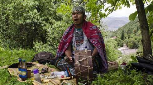 Ícaros: as Melodias Mágicas da Ayahuasca