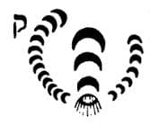 Qulielfi (Túneis de Set)