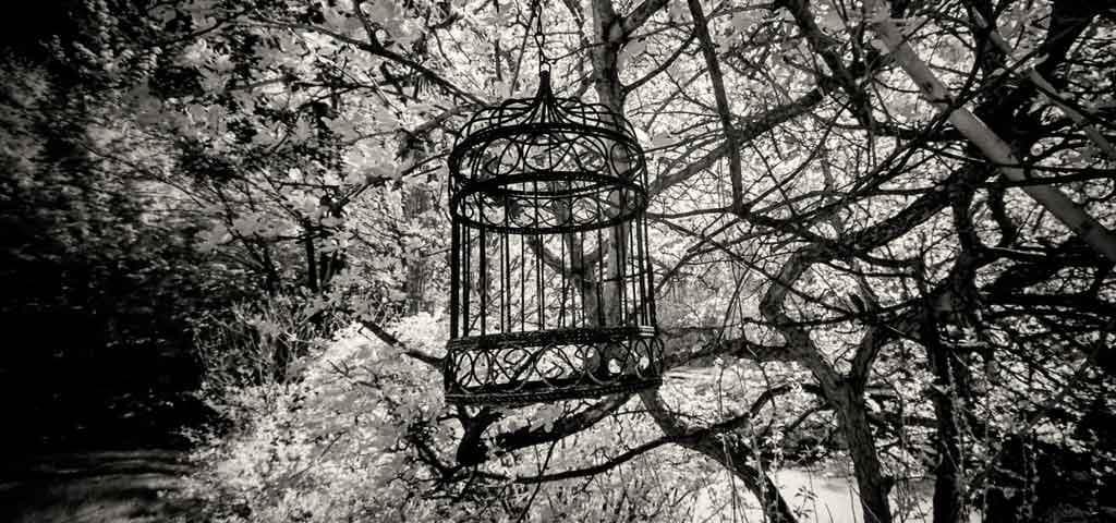 A Sua Liberdade Não é a Minha Liberdade