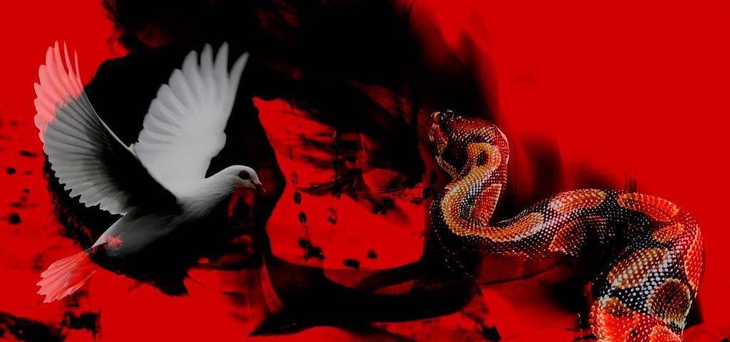 Meditando Sobre o Amor