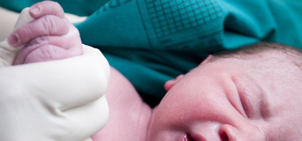 Purificação (o nascimento)