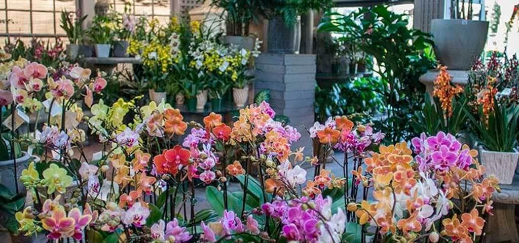 Ritual de Equinócio de Primavera