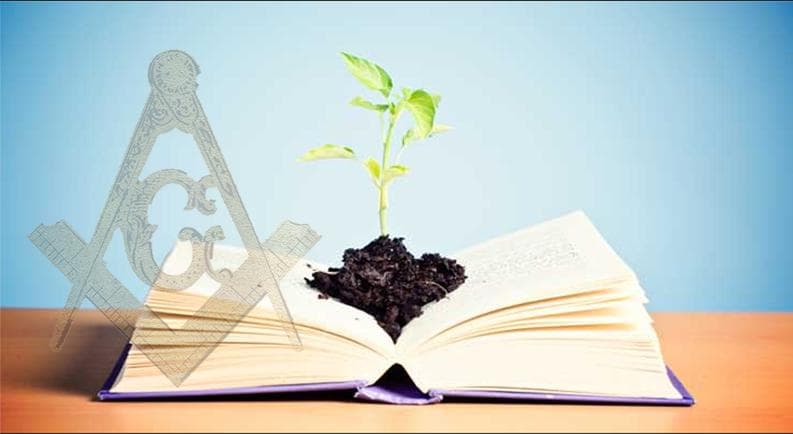 A participação da Maçonaria na Educação no final do Século XIX no Brasil