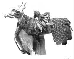 Agora que o GOB vai virar Ordem de Cavalaria…