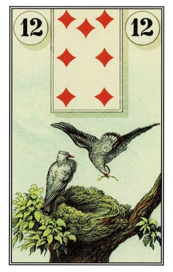 Pássaros