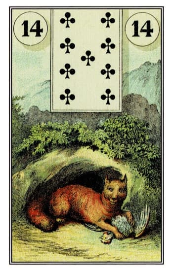 Raposa