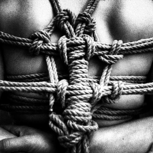 Artigo - Kinbaku-Bi – A Tradição Japonesa do Sado-Masoquismo